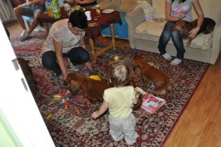 NADIM jamniki Kollapsar